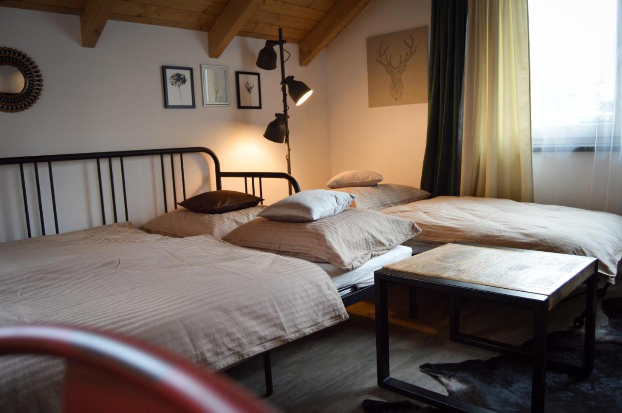 Apartmany Okrouhla Nový Bor Exterior foto